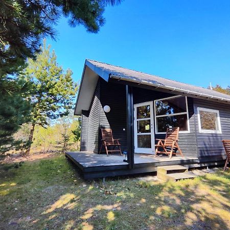 Tranum Klit Camping Og Hytteudlejning 布罗斯特 外观 照片