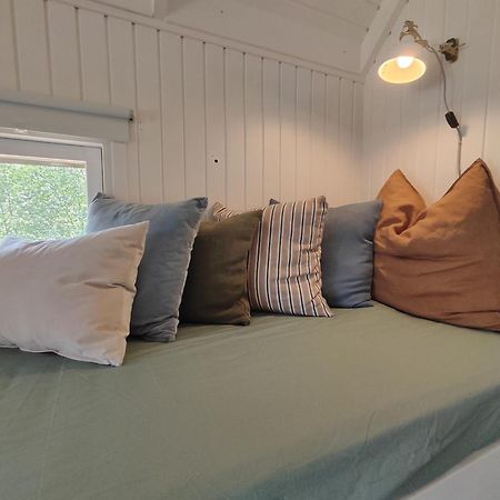 Tranum Klit Camping Og Hytteudlejning 布罗斯特 外观 照片