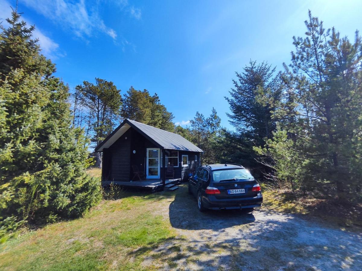 Tranum Klit Camping Og Hytteudlejning 布罗斯特 外观 照片