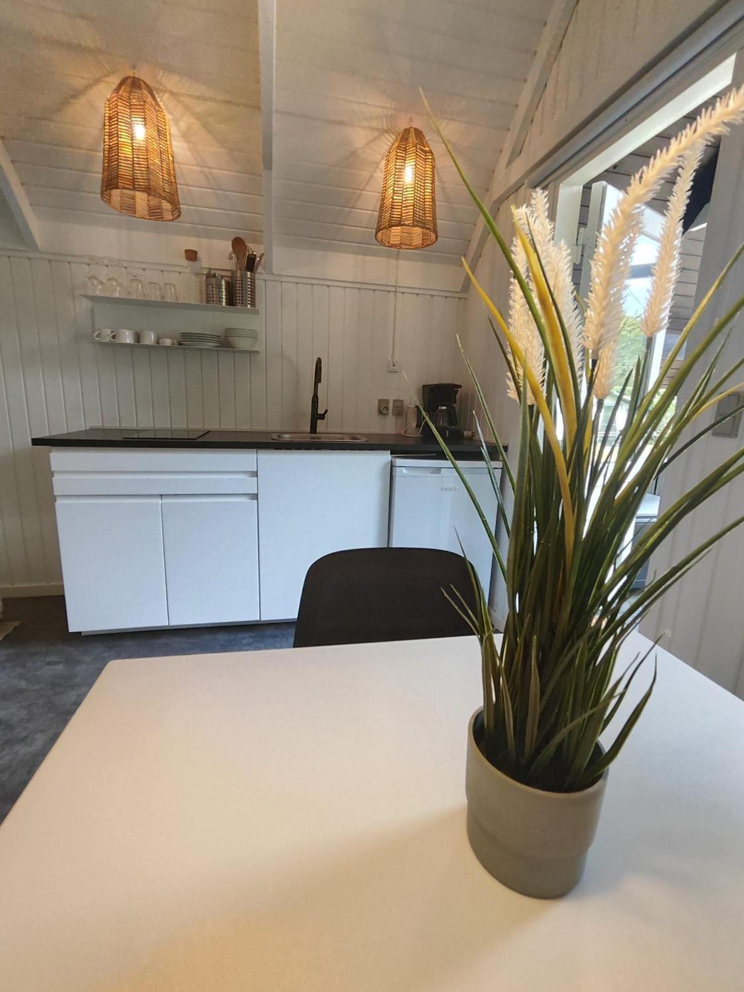 Tranum Klit Camping Og Hytteudlejning 布罗斯特 外观 照片