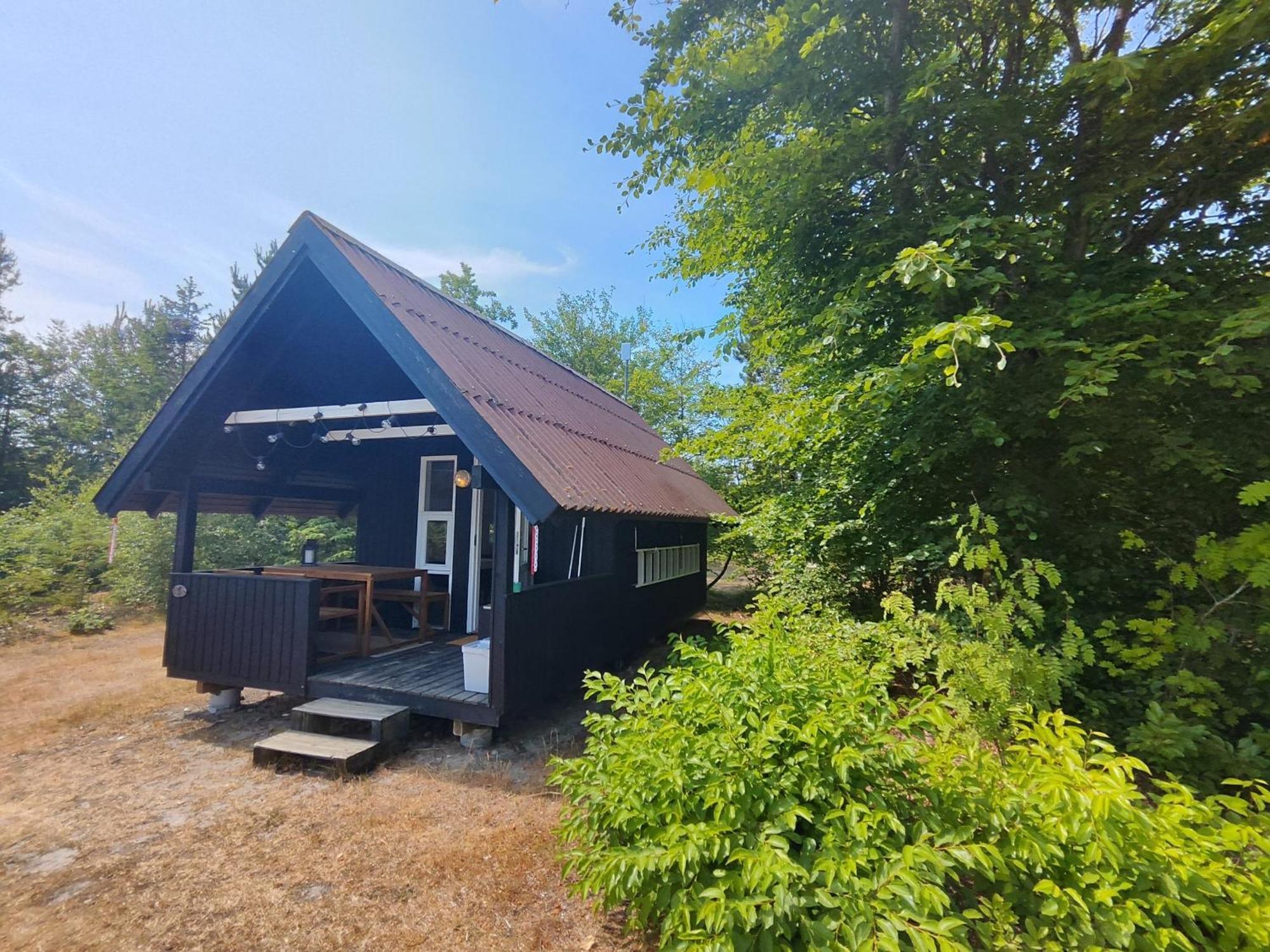 Tranum Klit Camping Og Hytteudlejning 布罗斯特 外观 照片